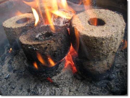 Παραγωγή biochar από ευκάλυπτο - eucalyptus.gr