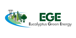Αναπτυξιακό Πλάνο Παραγωγής Ευκαλύπτου – eucalyptus.gr Αναπτυξιακό Πλάνο Παραγωγής Ευκαλύπτου - eucalyptus.gr